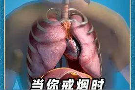 当你戒烟时，这是你的身体发生的变化。视频封面