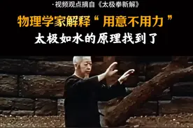 如果没有这位物理学家，太极推手恐怕还要被误解很多年吧 #太极拳 #传统武术视频封面