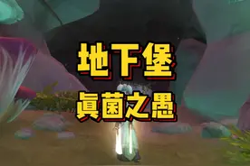 魔兽世界：地下堡之真菌之愚，漆黑山洞里有什么？ #魔兽世界视频封面