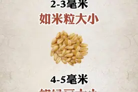 肺结节大小对比图 #抖出健康知识宝藏  #肺结节 #肺癌 #健康科普 #胸闷胸痛视频封面