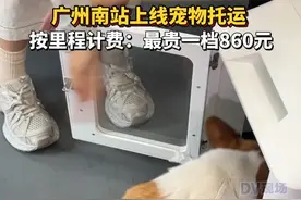 #广州南站上线宠物托运 ，按里程计费：最贵一档860元#广东dou知道视频封面
