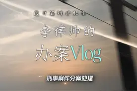 李律师的办案Vlog｜虚开罪辩护纪录｜刑事案件分案处理 #刑事辩护视频封面