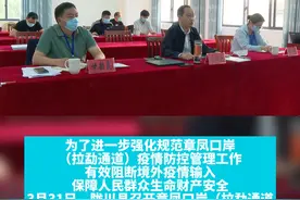 陇川县召开章凤口岸（拉勐通道）货运通关闭环管理业务培训会视频封面