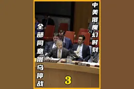 联合国罕见一幕，中美俄达成一致，全票赞成俄乌停战协议视频封面