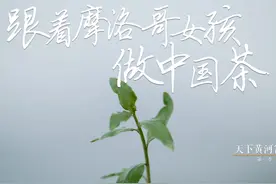 跟着摩洛哥女孩做中国茶视频封面