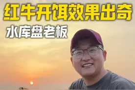 红牛开饵到底能不能钓鱼？ 红牛加在饵料中，钓鱼效果如何？#钓鱼 #红牛钓鱼视频封面