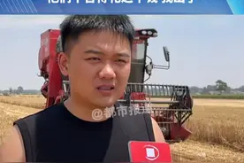河南小伙准备两台收割机，免费帮留守老人割麦子，“他们不舍得花这个钱 我出了”#三农视频封面