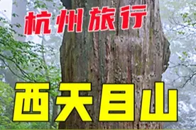杭州西天目山旅行攻略来了
天目山分东和西