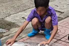 越南捕鱼 聪明的小男孩在湍急的河流中，利用陷阱收获数十斤野生大河鱼#国外捕鱼纪录片 #抓鱼 #记录农村生活