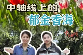 七大主题景区18万株！中轴线上最大规模的郁金香花展，就在这 #中轴线上最大规模的郁金香花展  #中轴线冷知识  #北京中山公园视频封面