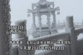 山西五台山台顶又下雪了！宛若仙境一般！ #山西dou知道 #五台山 #朝台之路 #下雪了 #万万没想到