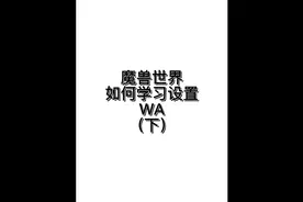 魔兽世界如何学习设置WA（下）~~想要wa的 看我主页~~视频封面