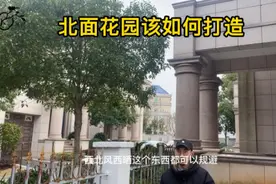 西面花园该如何打造#庭院景观 #私家庭院 #庭院设计视频封面