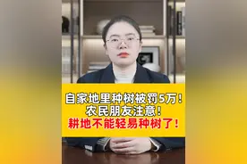 河南农民在地里种树，结果发生了意料之外的一幕......农民朋友，以后农村的耕地上，还可以继续种树吗？#耕地保护 #法律咨询 #律师普法视频封面