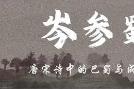 阿来告诉你：“唐代的军队制度”#阿来书房 #唐朝视频封面