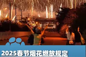 河南多地发布2025春节烟花燃放规定，郑州、洛阳、濮阳、南阳均限放！视频封面