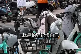 女子给猫咪绝育怕被记仇，雇跑腿小哥演戏骗猫咪，网友：看她笑得多开心#猫咪 #绝育 #河南dou知道 视频封面