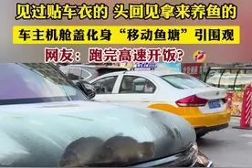 见过贴车衣的 头回见拿来养鱼的 车主机舱盖化身“移动鱼塘”引围观
网友：跑完高速开饭？🤣
提示：车辆改装，安全是前提！
（编辑：小韩）#神操作