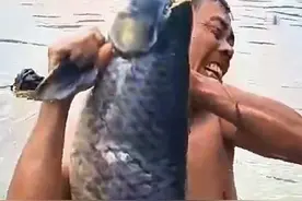 看热闹有风险！#划龙舟比赛上大鱼被船桨打晕 ，鱼：一分钟挨了几百棍 ！#龙舟视频封面