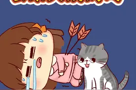 猫咪到底会不会来大姨妈啊？这次讲通透了。#轻漫计划 #二次元原创  #新手养猫  @DOU+小助手 