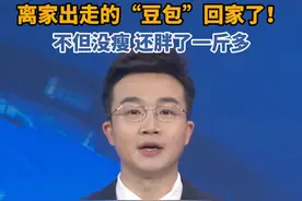 出逃两个月，卡皮巴拉“豆包”回家了#卡皮巴拉 #江苏 #动物园 #爱护动物 #动物保护视频封面