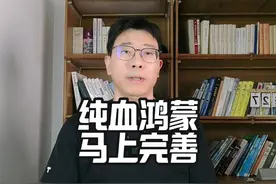 华为鸿蒙next，两三个月成熟完善 #纯血鸿蒙 #鸿蒙next #华为