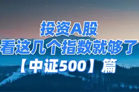 投资A股，看这几个指数就够了之中证500！#财经 #指数 #基金视频封面