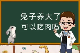 兔子养大了可以吃肉吗？#宠物兔视频封面