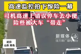 司机高速上错误停车去小便  险些被大车“带走“
#驾考 #驾驶安全 #高速公路上不停车 #大货车有盲区