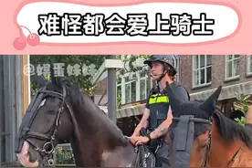 怪不得中世纪的女性会爱上骑士 #荷兰  #骑士  #欧洲  #女性  #帅就完事了视频封面