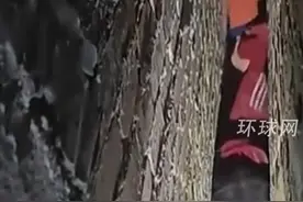 警惕！1个墙缝同时卡住2个孩子，画面太揪心 视频封面