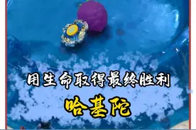 哈基陀你这家伙... #陀螺 #陀螺对战 #燃 #名场面 #内容启发搜索