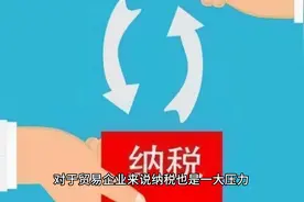 服务贸易企业税收返还红利政策详解，居然还能平台提前垫付！视频封面