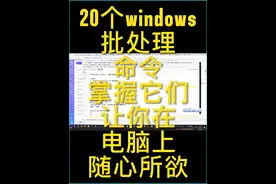 20个windows批处理命令，掌握它们让你在电脑上随心所欲 #windows