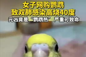 近日，郑州李女士（化名）网购了一只鹦鹉，收到后她和6岁的儿子都开始身体不舒服，鹦鹉也越来越没活力，不久就死掉了。在持续高烧40度4天之后，郑女士被查出双肺感染，需立即入院抢救，最终她确诊了“鹦鹉热衣原体感染”，住院一周花了8000多元。郑女士将鹦鹉送宠物医院检测，显示“鹦鹉热衣原体”阳性，具有传染性，但网店商家拒绝赔偿和道歉。郑女士怀疑养殖环境中已经有成百上千只鹦鹉染病，希望商家和平台重视，避免全国更多消费者“中招”。（黑猫投诉）视频封面