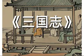 看三国一定绕不开陈寿的《三国志》 #历史 #三国 #三国志视频封面