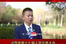 泸西县第十七届人民代表大会第三次会议  代表声音（四）视频封面