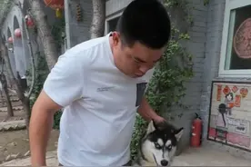 在家咬5人的哈士奇，今天正式开盘，教育母狗那必须放黑妞 #罗威纳黑豹 #豫西小丁 #养狗的乐趣 #护卫犬 #人与动物和谐共处