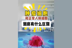 肿瘤细胞🆚正常人体细胞，到底有啥不一样？😮 #医学科普 #硬核健康科普行动 #肿瘤 #热点 #肿瘤细胞