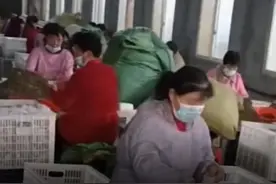 “北京同仁堂” “雷允上”等足浴包菌污爆表 甚至检出大肠菌群，绿脓杆菌，宣称含36味中药材 实际仅8味。近日，有媒体对网上热销的足浴包进行检测，结果让人大跌眼镜，不仅中药含量与实际不符，更是被检测出菌污爆表，而有媒体记者暗访这些生产车间，环境更是让人惊掉下巴。#315  #足浴包视频封面