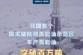 新华社消息｜我国首个国家级陆相页岩油示范区年产页岩油突破百万吨视频封面