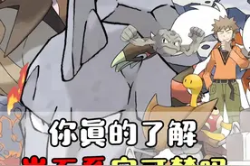 精灵宝可梦 宝可梦十八属性中，你真的了解岩石系宝可梦吗？#游戏  #精灵宝可梦  #口袋妖怪  #动漫视频封面