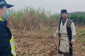 #长安面包车挂88888车牌被举报 男子扮"乔峰"拍视频，面包车挂牌88888被网友举报涉嫌套牌，南宁宾阳交警上门核查发现未套牌！
视频封面