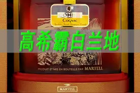 雪茄和白兰地的结合，高希霸马爹利白兰地xo #一波说酒视频封面