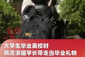 大学生毕业离校时，将流浪猫学长带走当毕业礼物，“还是学费换的猫香” #大学生视频封面