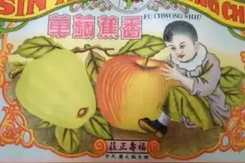 #时光里的福山  | 福山苹果的前世今生 #福在福山  #烟台  #历史  福山区融媒体中心讯 记者：萌益视频封面