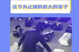 人怎么能捅这么大的篓子#万万没想到 #捅娄子 #禁毒 #内容过于真实 #搞笑视频封面