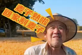 全网呼叫聊城人 回家割麦子哩（记者： 仲雪 胡晓冰 审核：李彬）#麦收时节 #又是一年收麦季视频封面