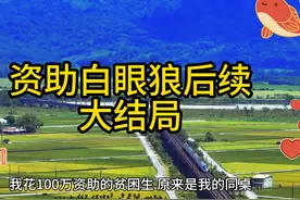 资助白眼狼后续大结局 #资助白眼狼后续 #资助白眼狼完结视频封面