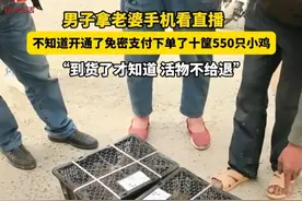 男子用老婆手机看直播，不知道手机开通免密支付，下单了十筐500多只小鸡。“到货了才知道 活物不给退”。#搞笑 #视频来源 @欢